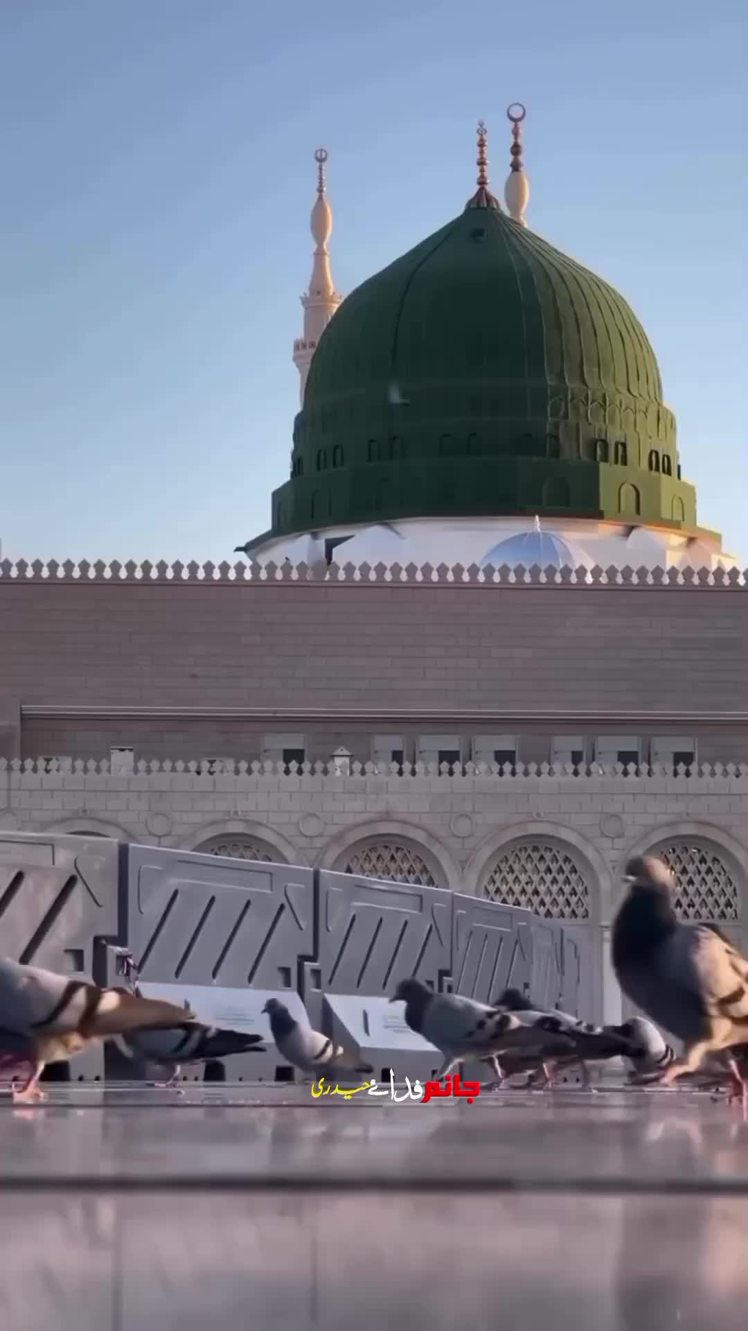 @جانم فداۓ حیدری