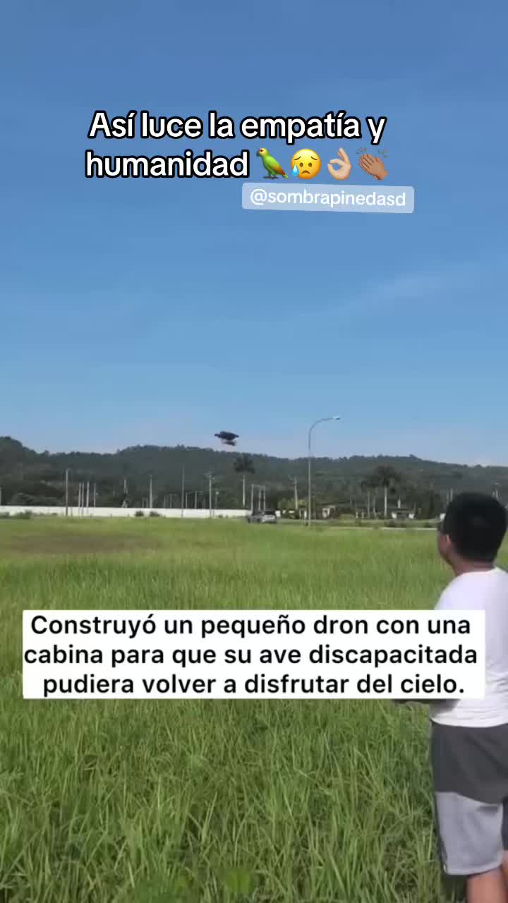 @SOMBRAᴾᴵᴺᴱᴰᴬSD