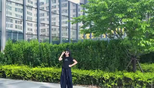 @Zhang Lin(张林) 🇮🇩🇨🇳