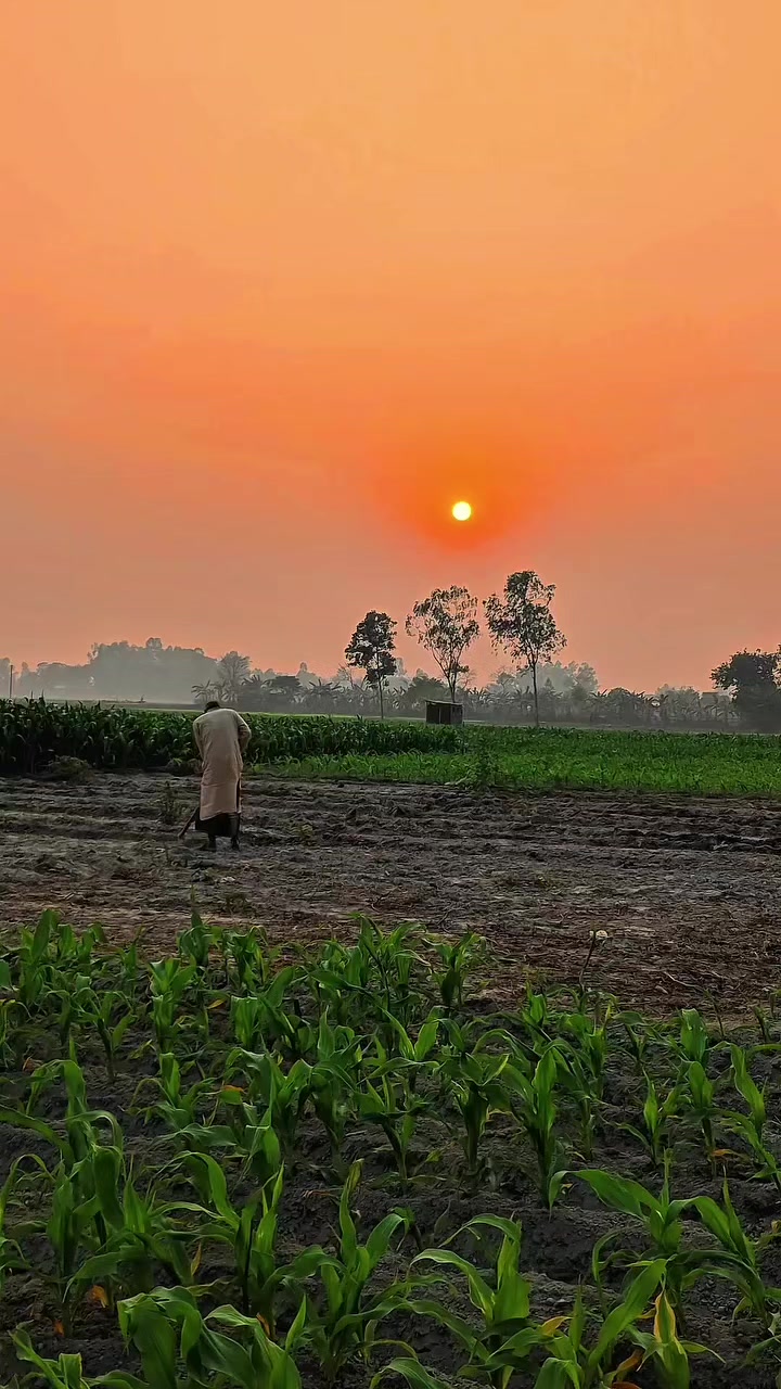 @স্বপ্নছিন্ন_পাখি