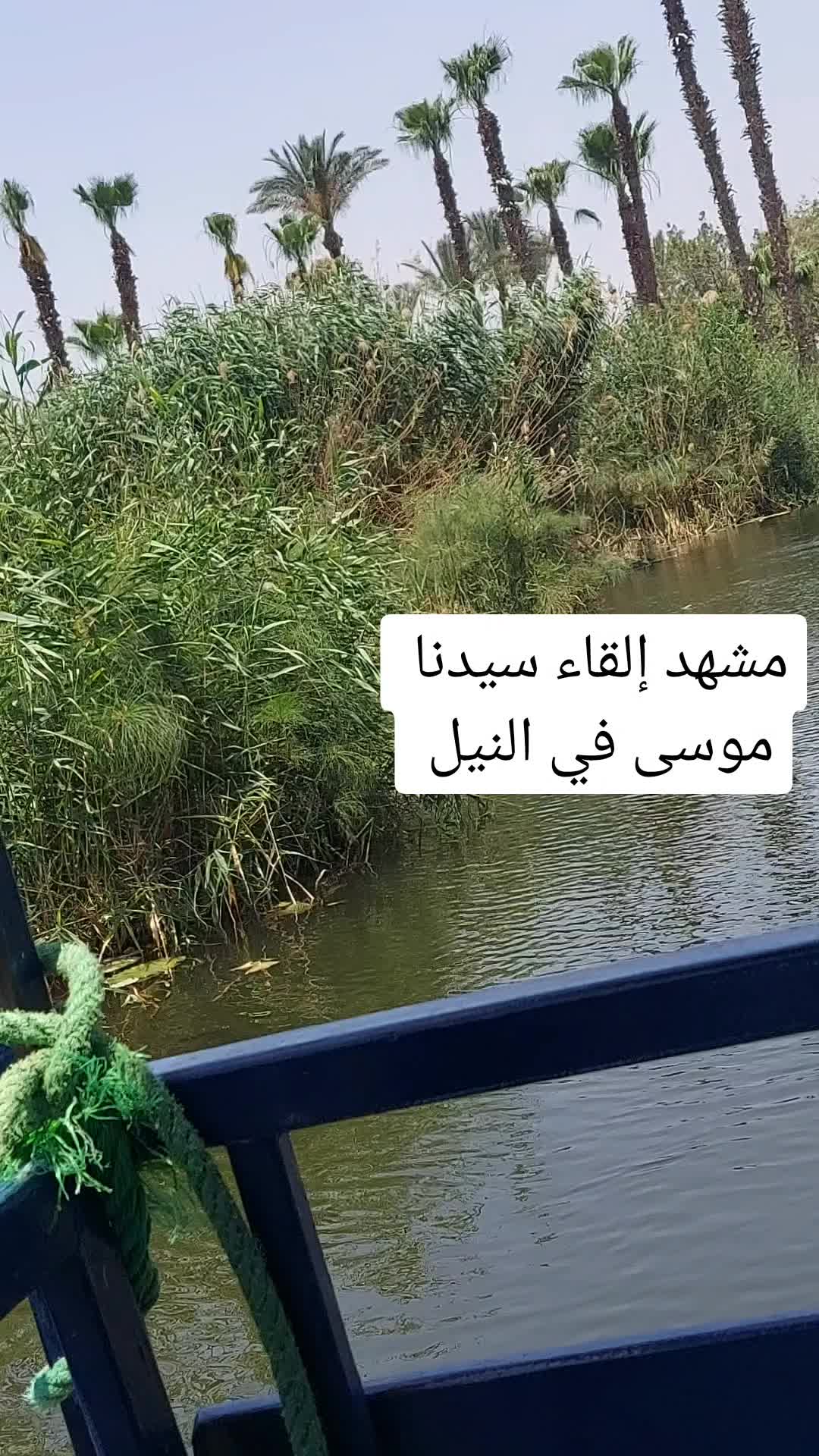 @بنت مصر (استاذة نانا )