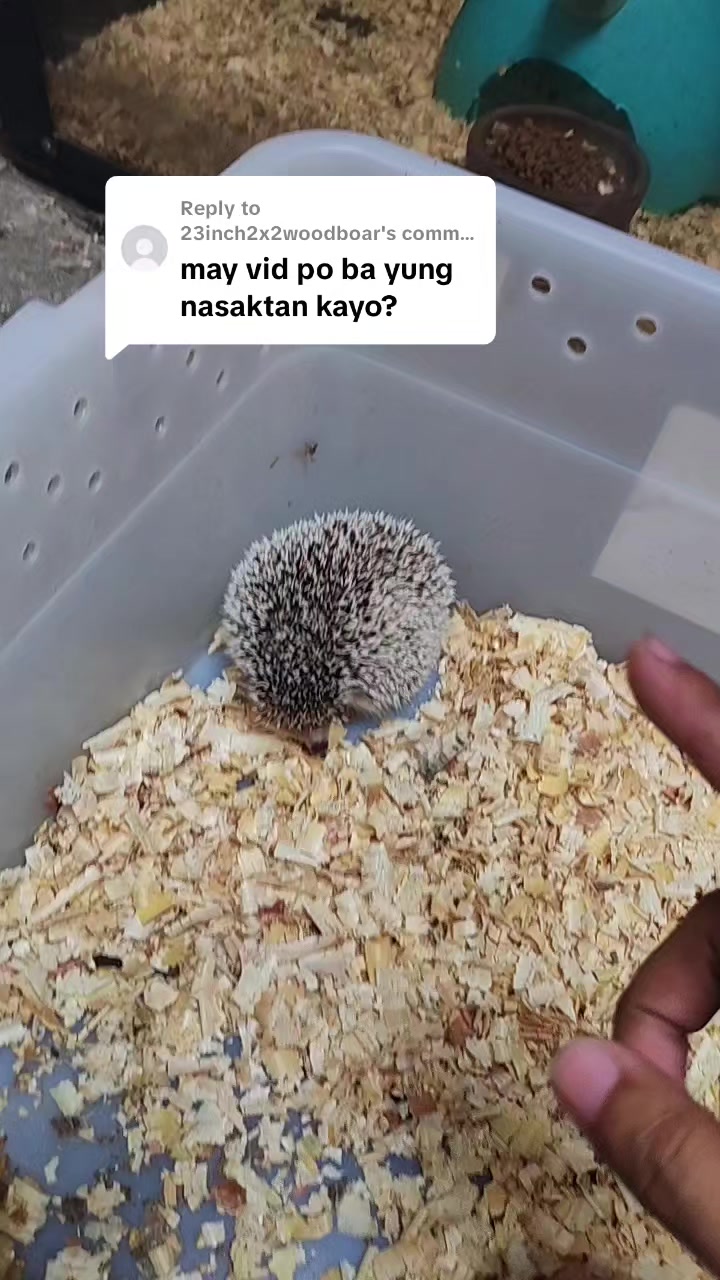 @Kuya AD