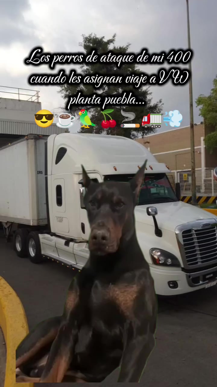 @juan_luis