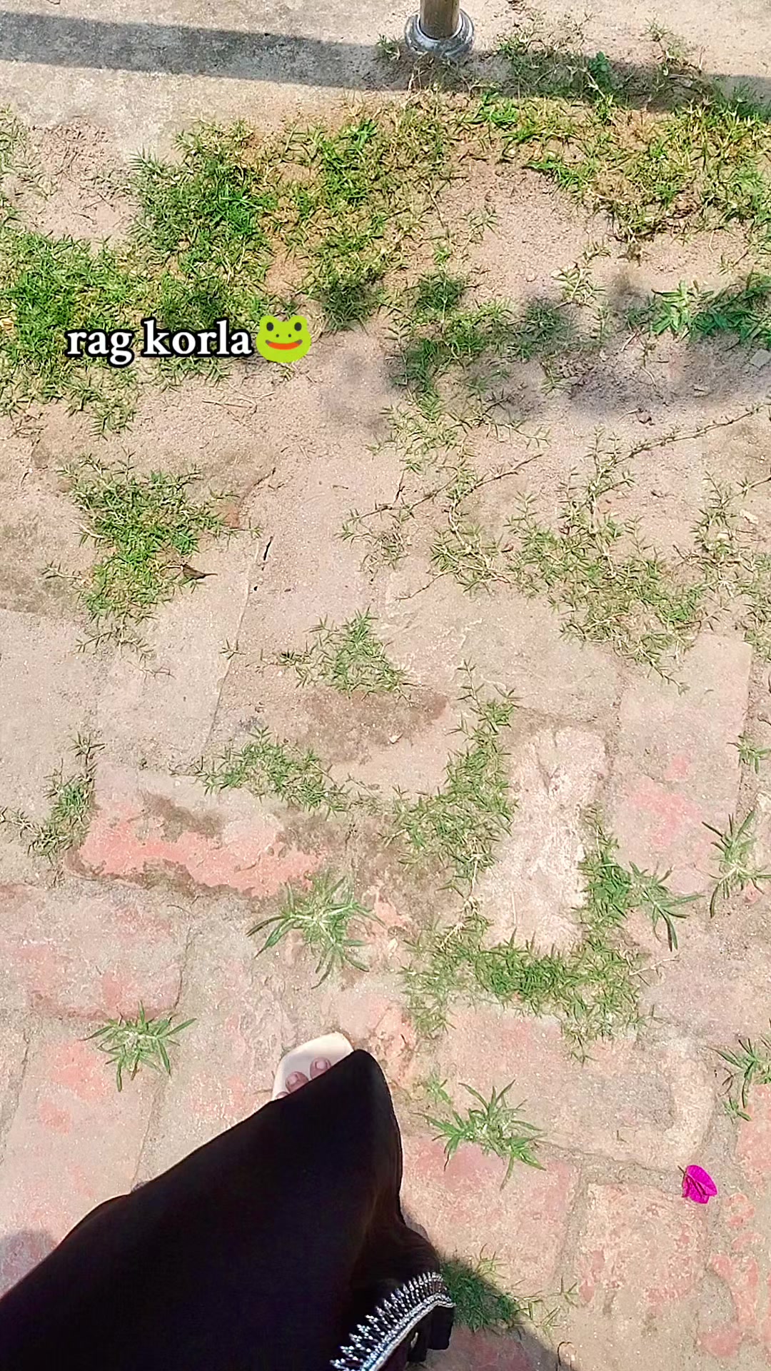 @ᥫ᭡ѕαɗυᥫ᭡