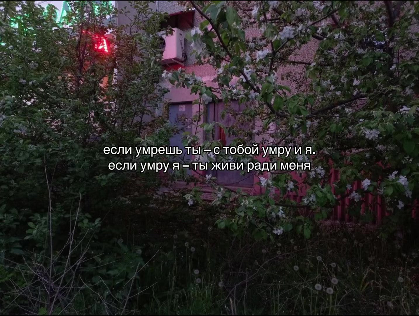 @𝒏𝒊𝒈𝒉𝒕𝒎𝒂𝒓𝒆