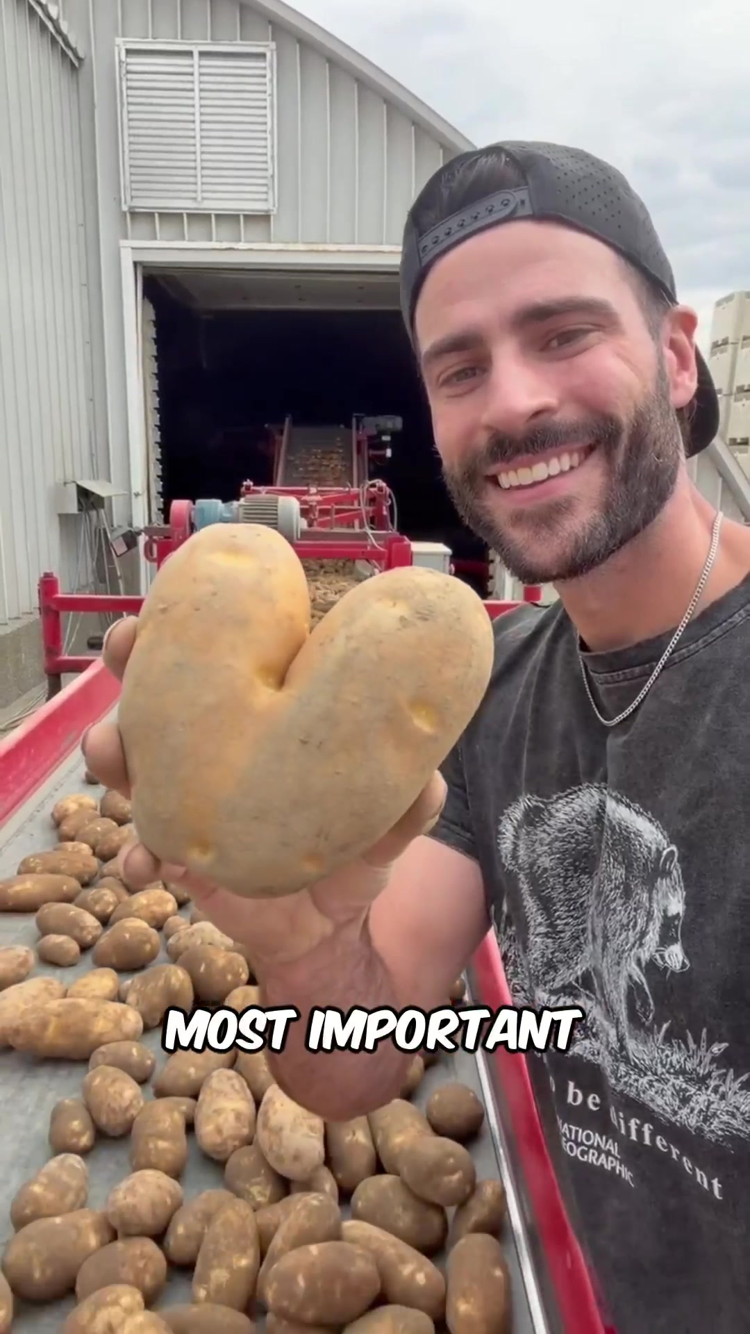 @Potato Ty