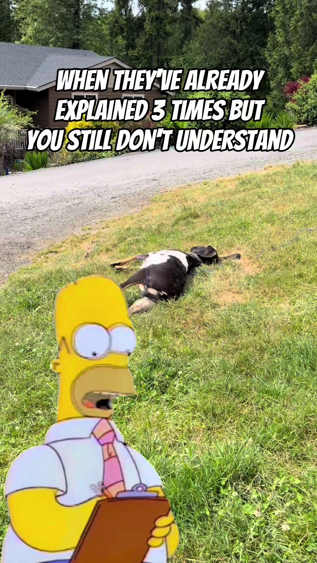 @Danielle L