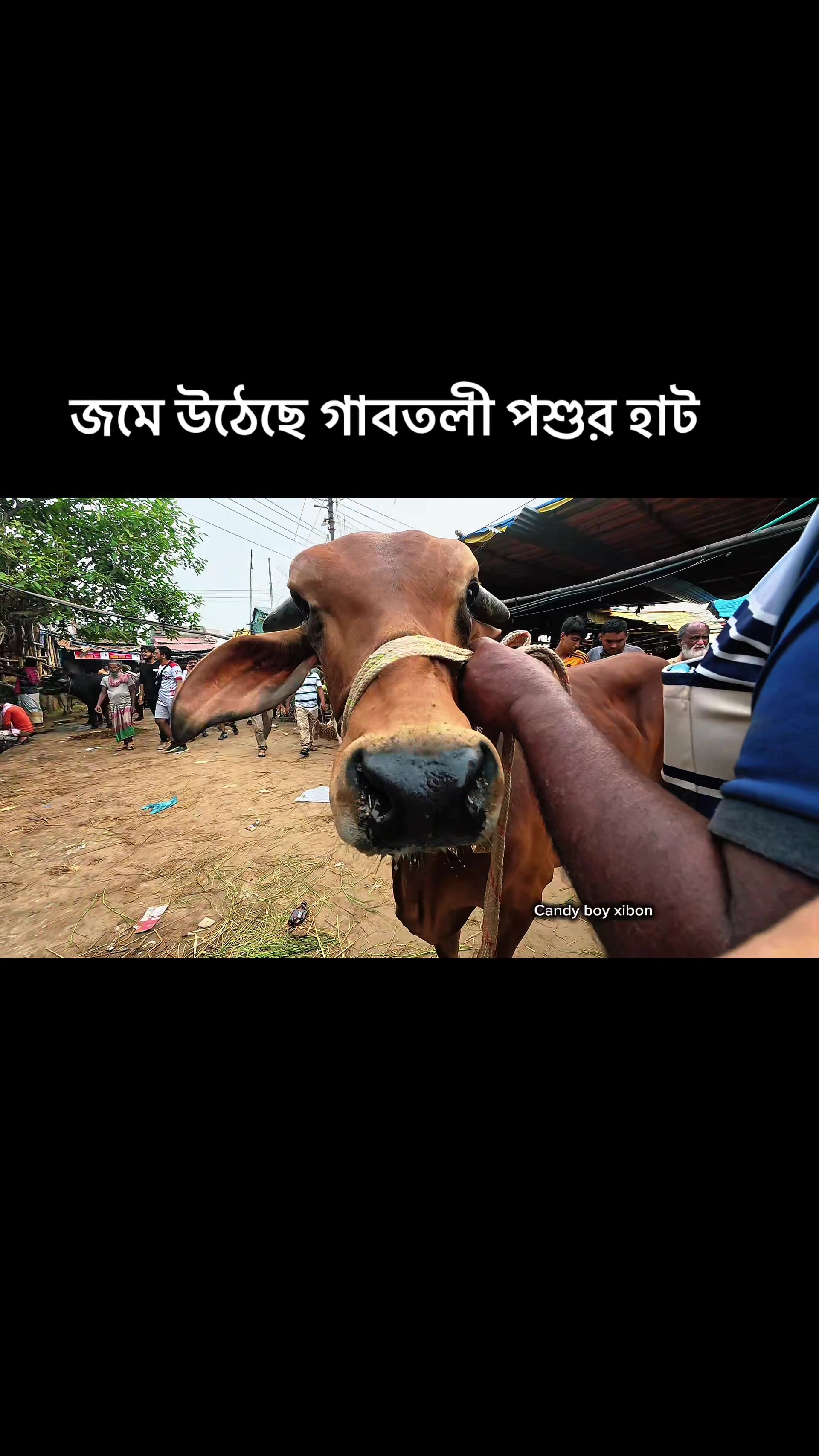 @MD IBRAHIM HOSSAIN đĨ