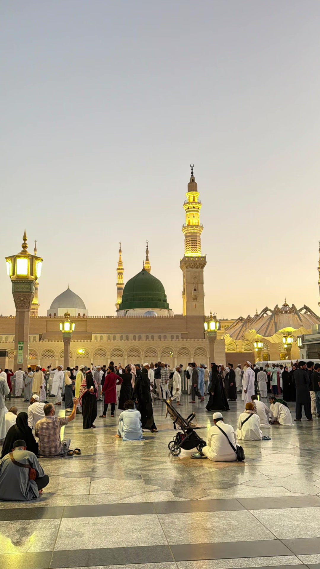 @Sidra Amin 31