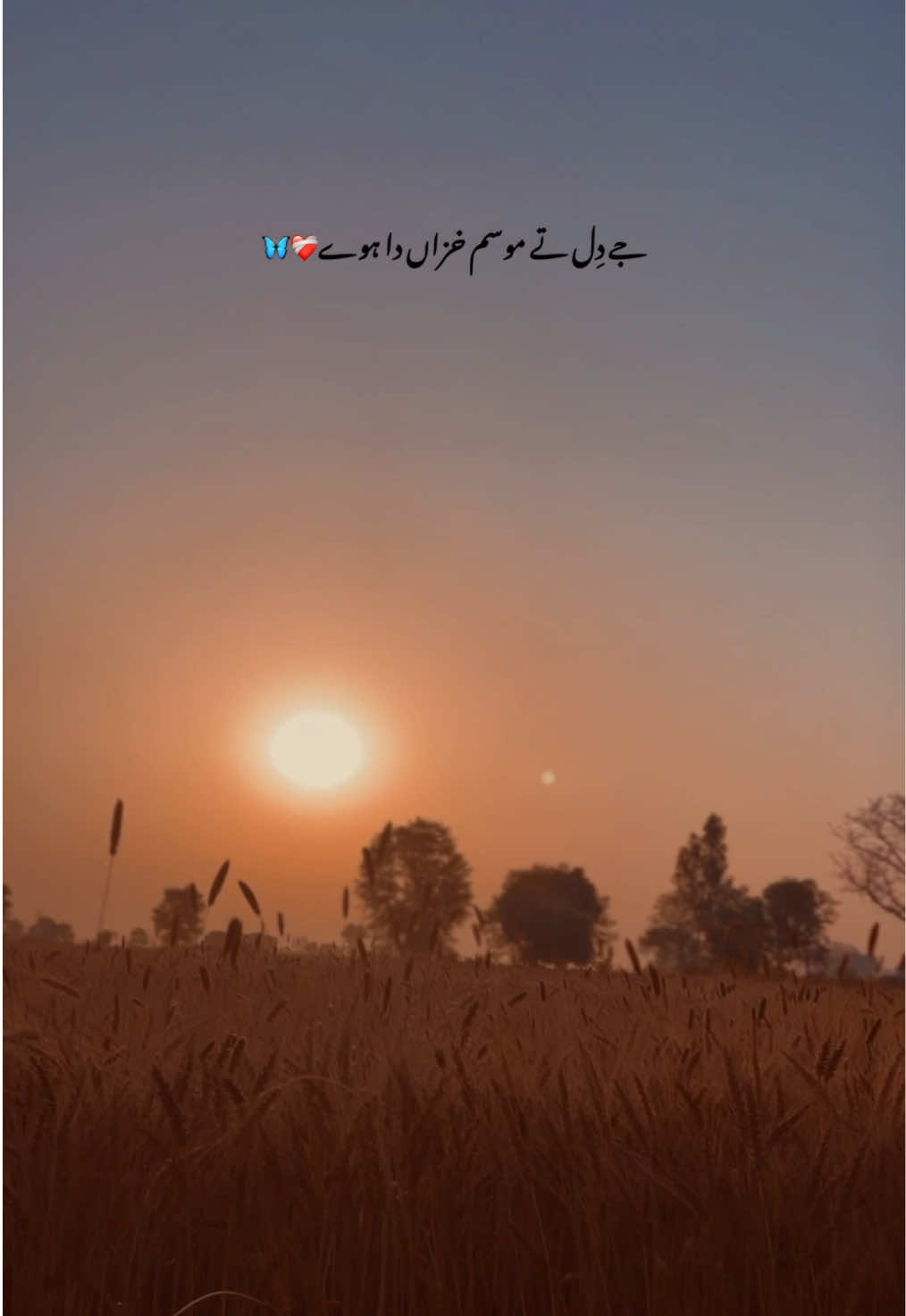 @پنجاب❤️🩹