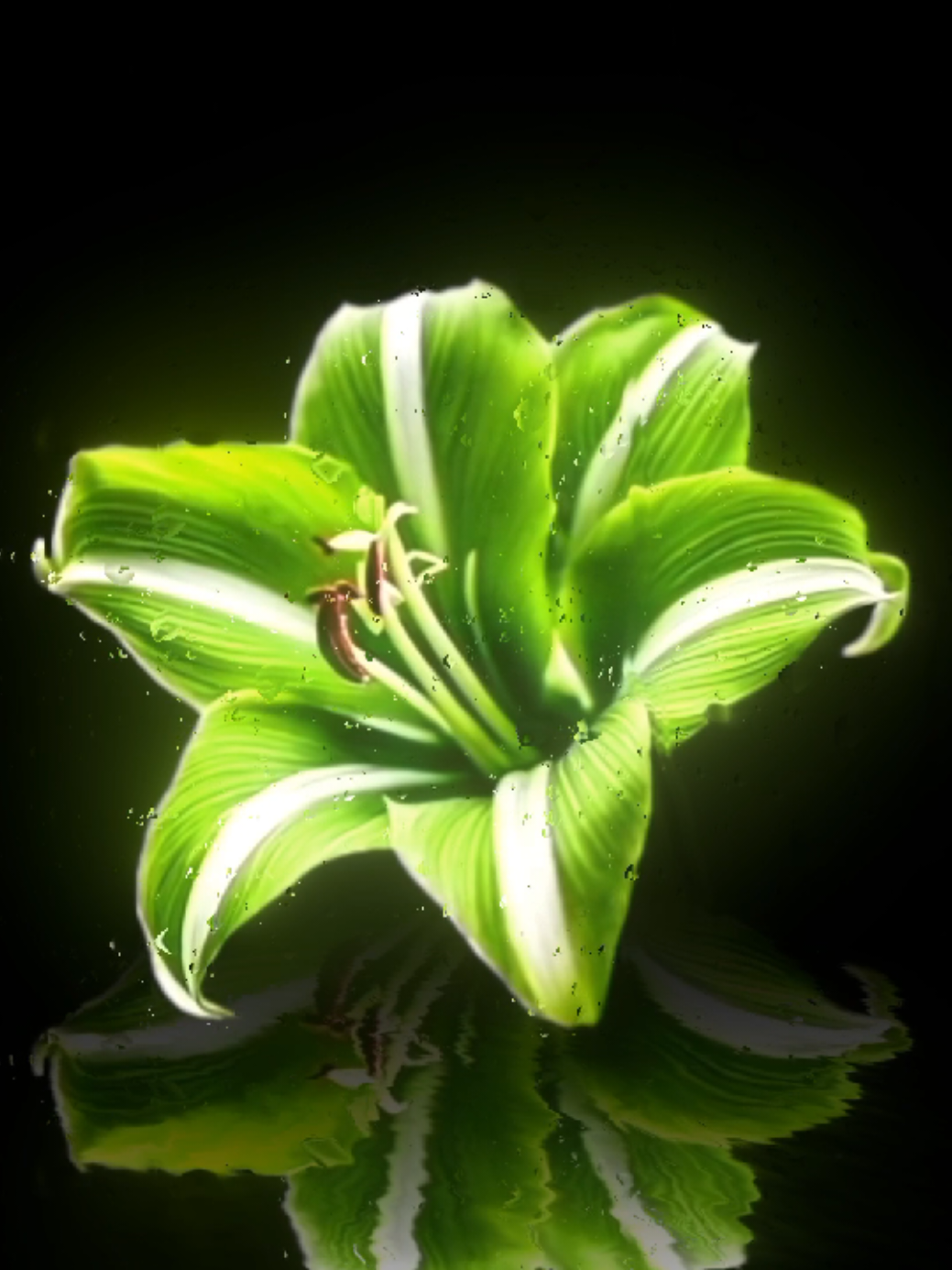 @𝐌𝐔𝐒𝐈𝐂 𝐌𝐄𝐃𝐄𝐑𝐎
