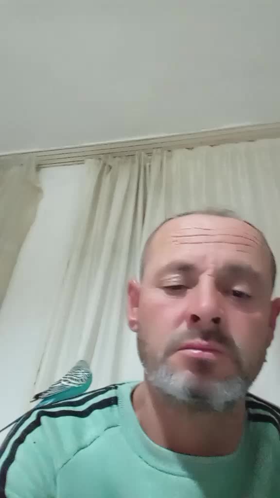 @Bülent Alçın