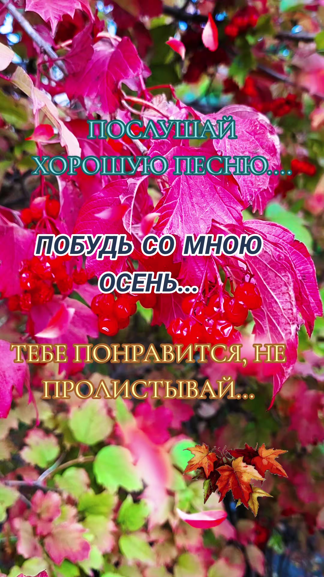 @Алёна А