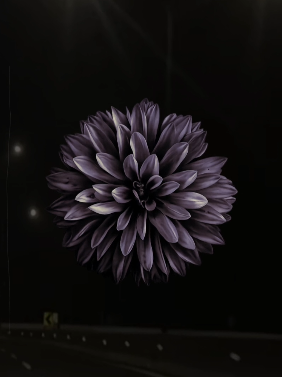 @𝐗𝐕𝐈 𝐀.𝐂