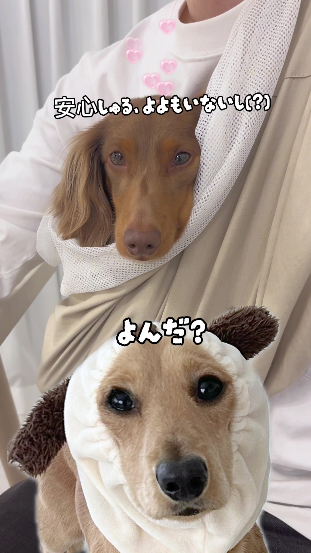 @kuku.yoyo_boy