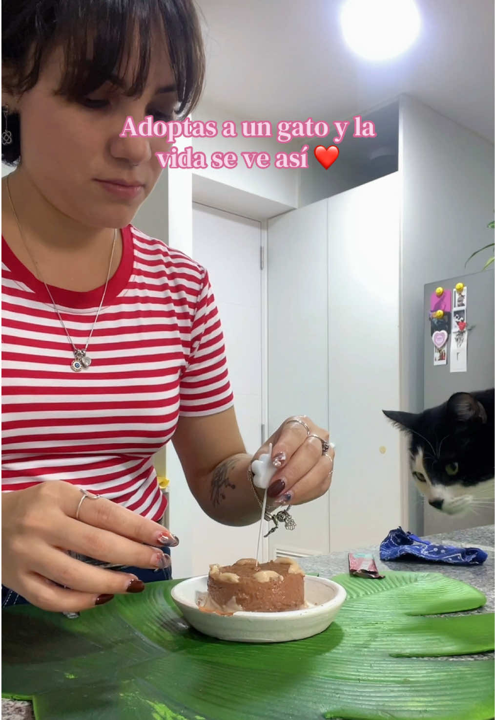 @andremarmolejoc