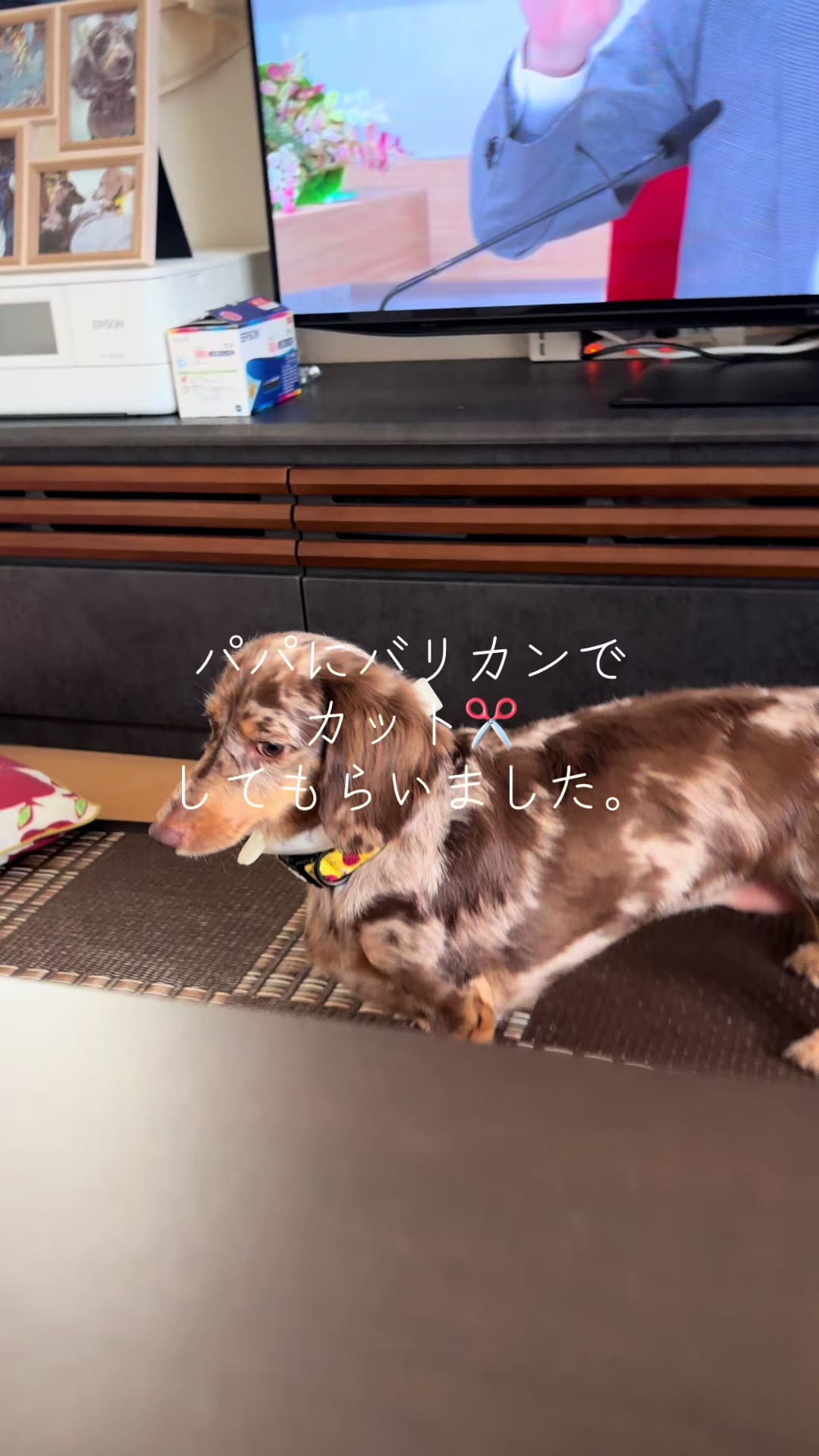 @ケン