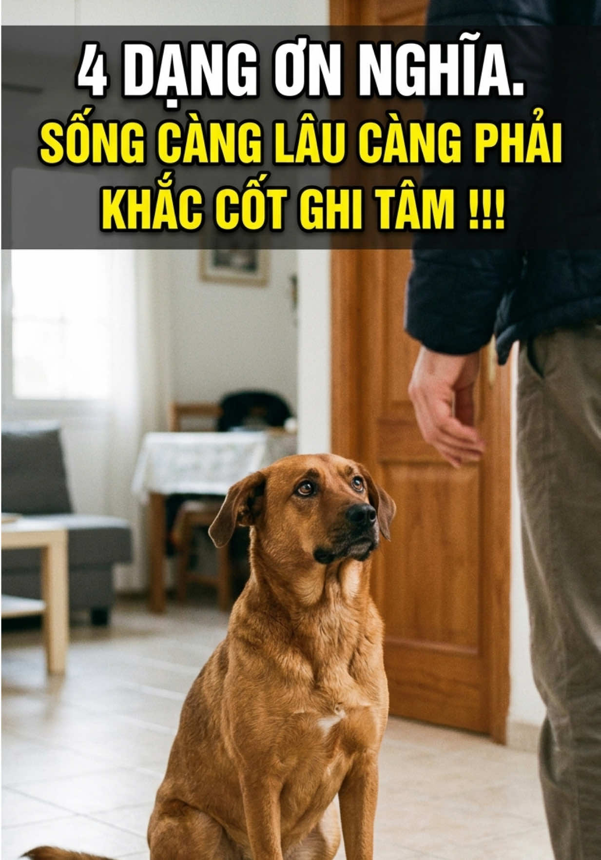 @Trần Khương Fengshui Tam Gia