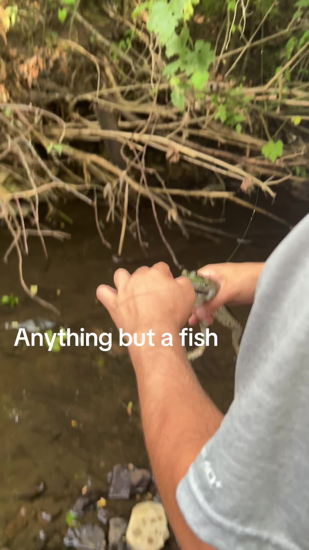 @Abetheeater