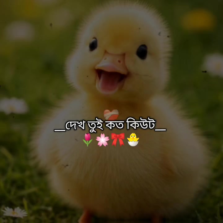 @_𝗬𝗼𝐔𝐫 ♡ 𝐓&alpha;𝗺&alpha;𝗻𝗻&alpha;🍒🧃