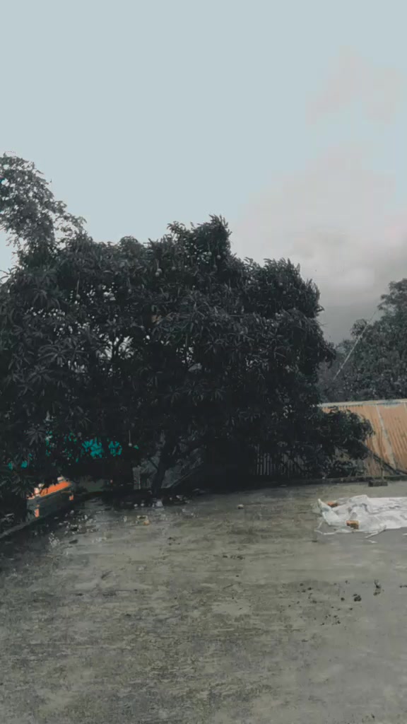 @🍁~ভাবের রানী ~🍁