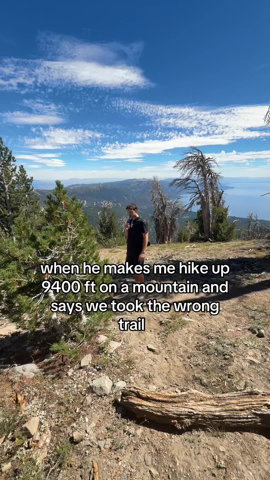 @Stella