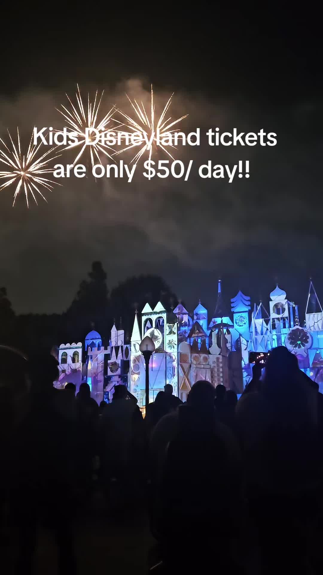 @SHEENA~TRAVEL PLANNER 🏰🌎🛳✨️