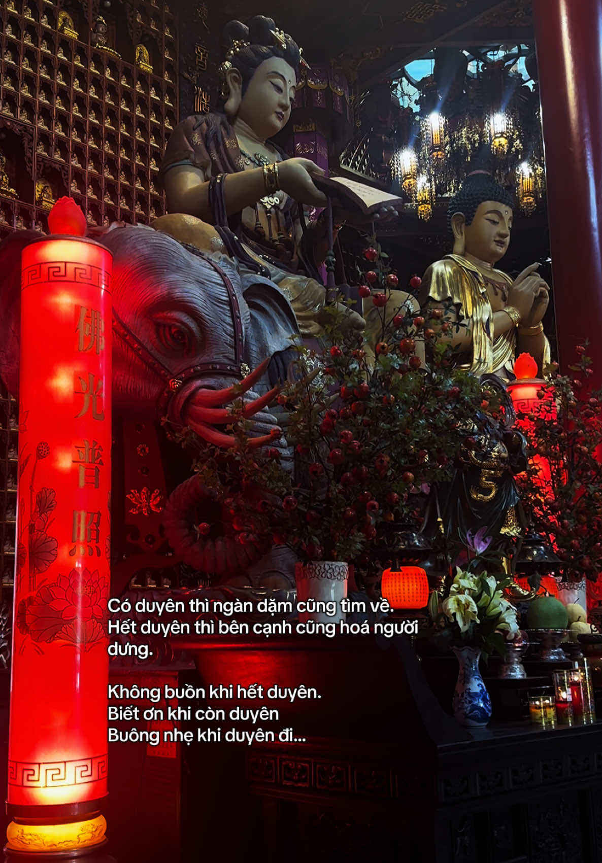 @🪷An Tịnh Lắng Dịu🪷