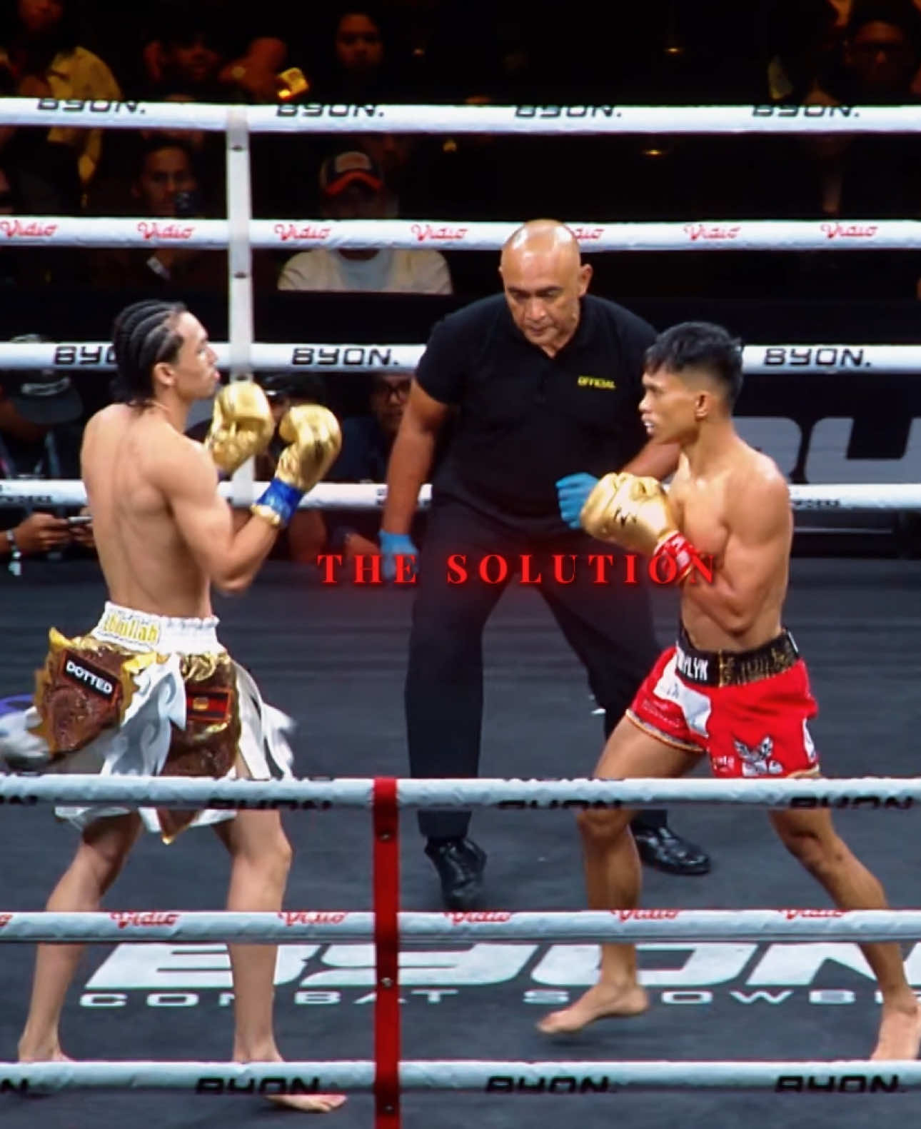 @Ronal🥊🇮🇩