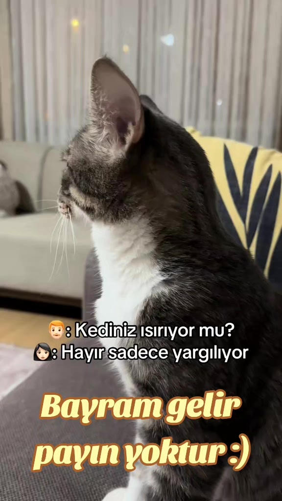 @62🌜🅰🎵_1907