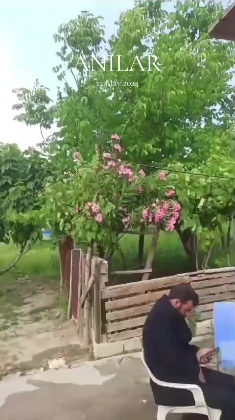 @ali yılmaz