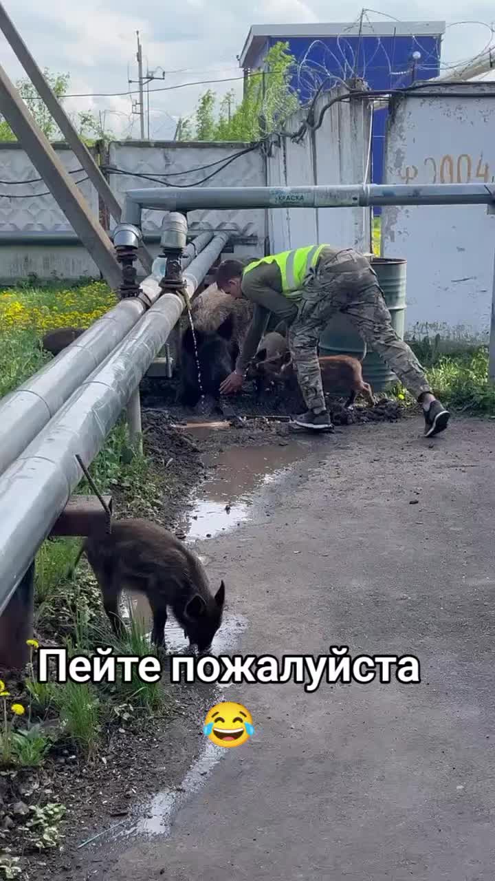 @❤️ ﮩﮩ٨ــﮩـــ𝑀𝒾𝓁𝒶