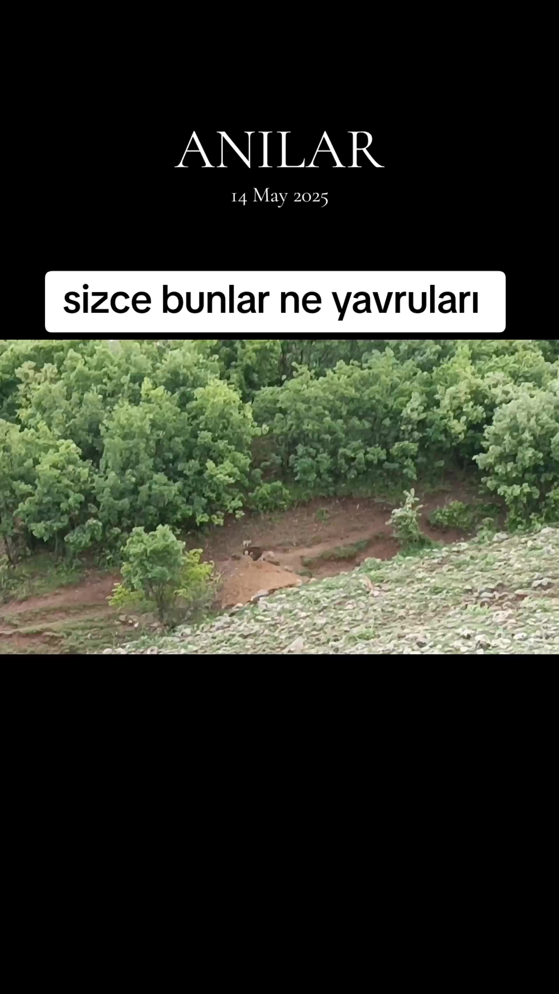 @koçer.12