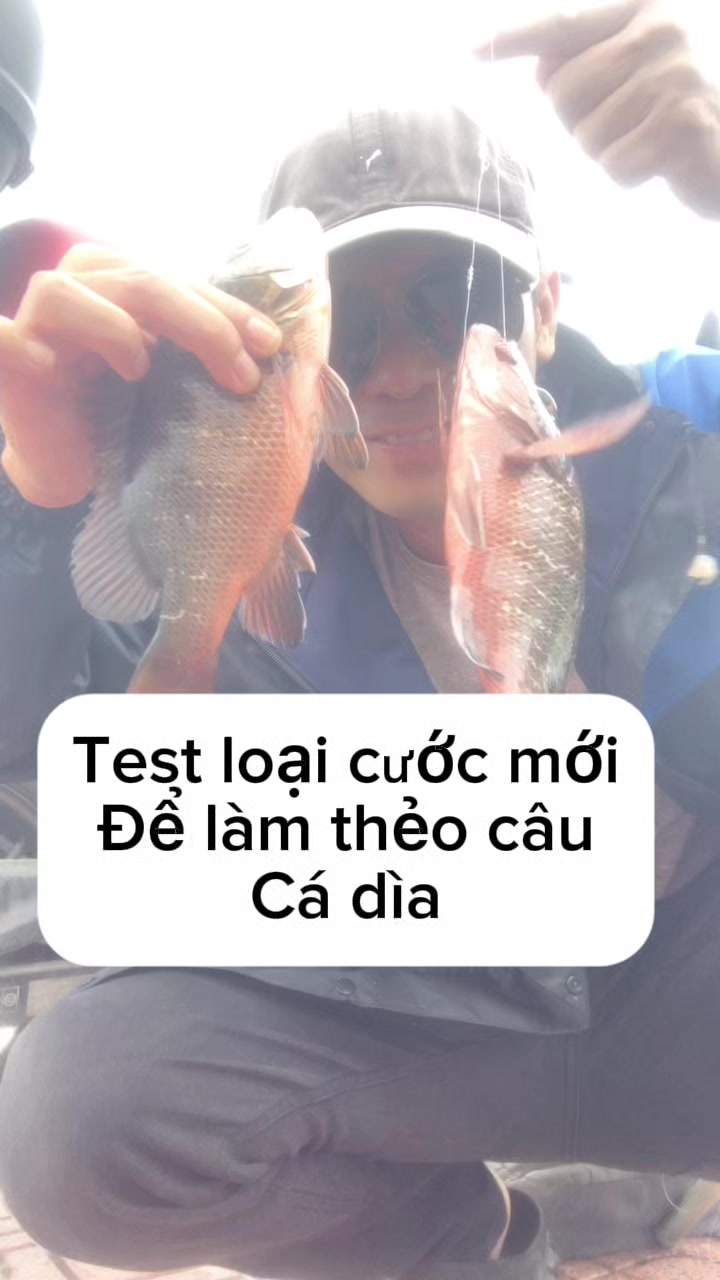 @c&acirc;u c&aacute; Nha Trang