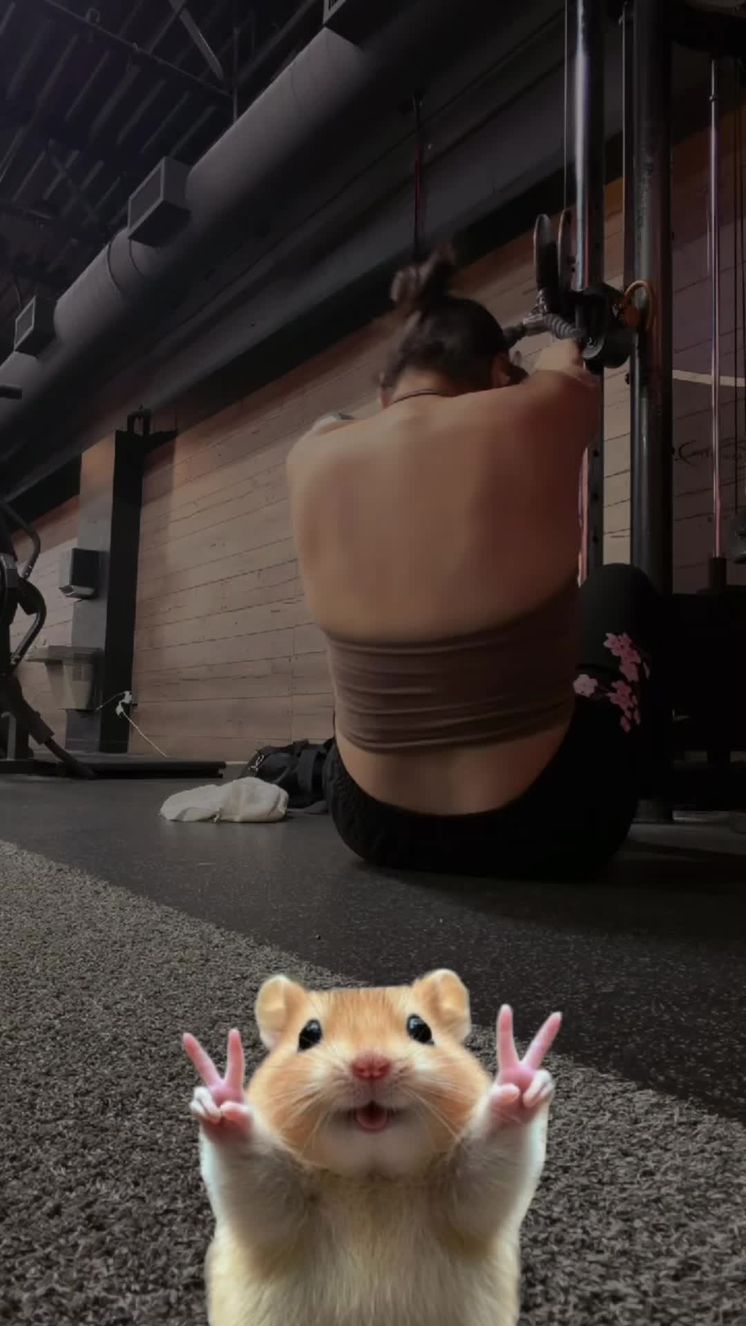 @luz_fitnnessblog