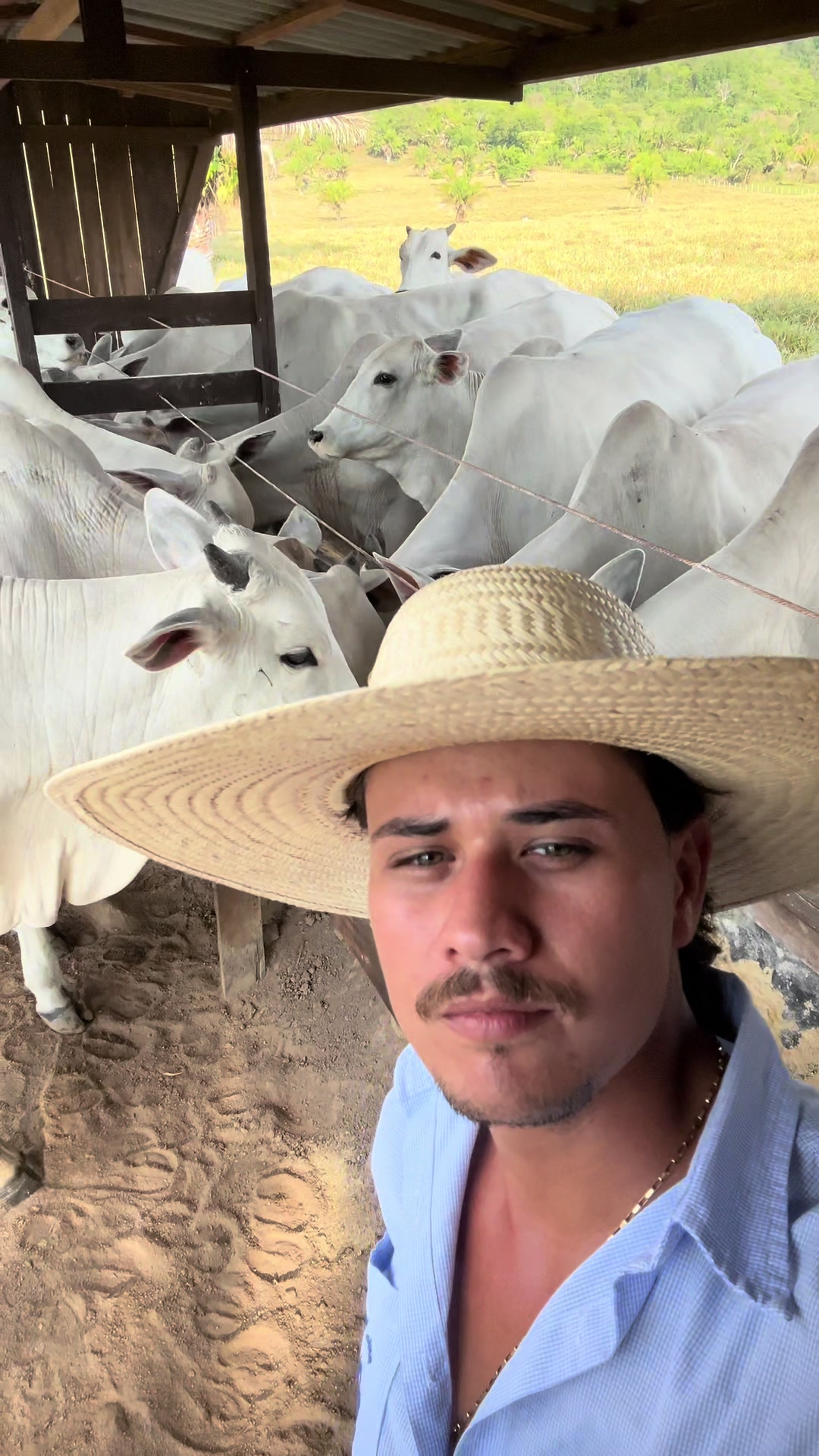 @lucasagro