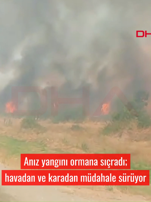 @Demir&ouml;ren Haber Ajansı