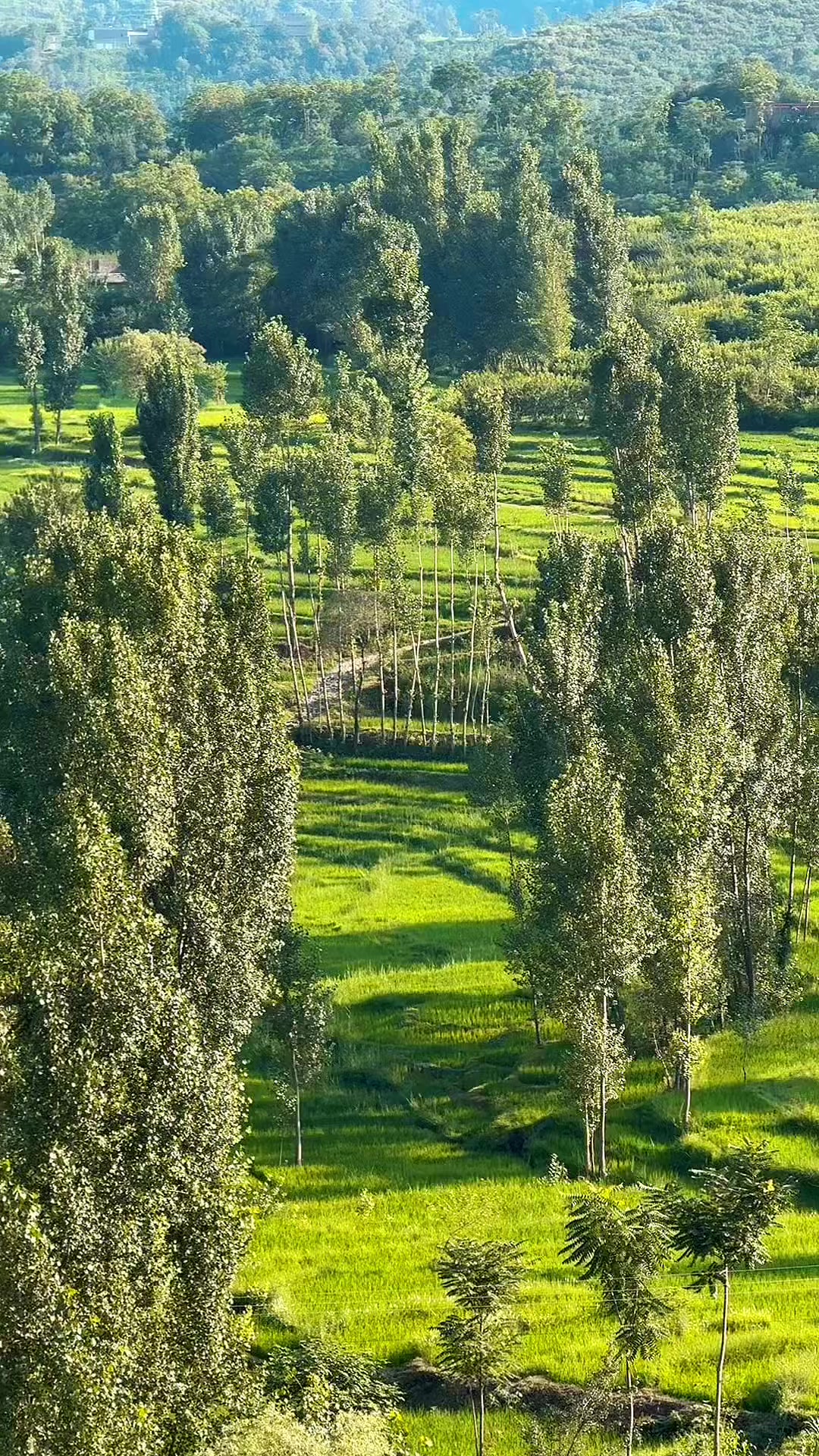 @خان 🇪🇺