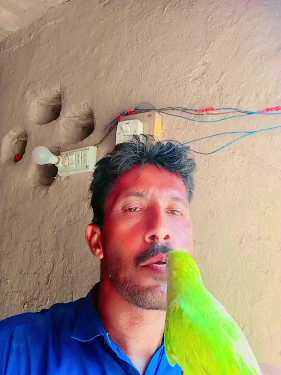 @جام نیاز