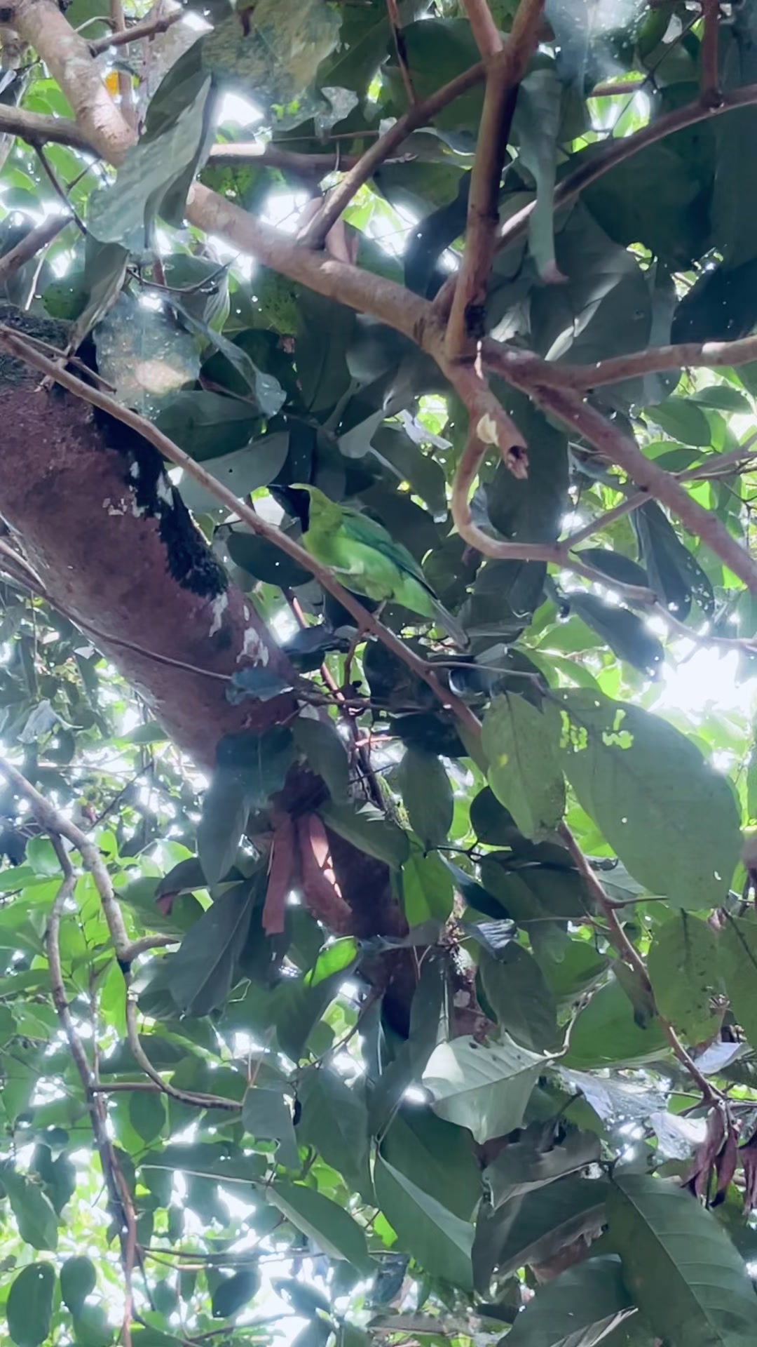 @w𝖆𝖆𝖓𝖘.