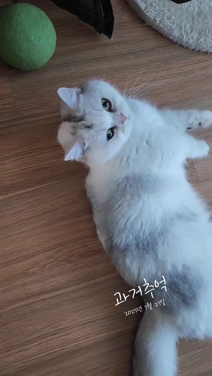 @박씨 거실