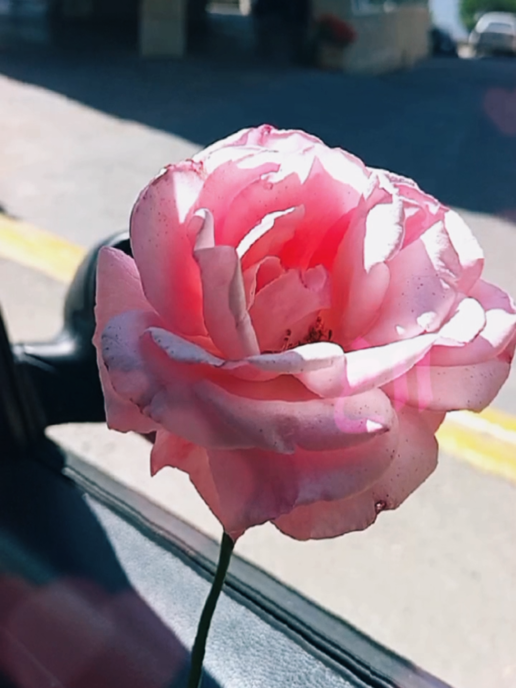 @lavendr81