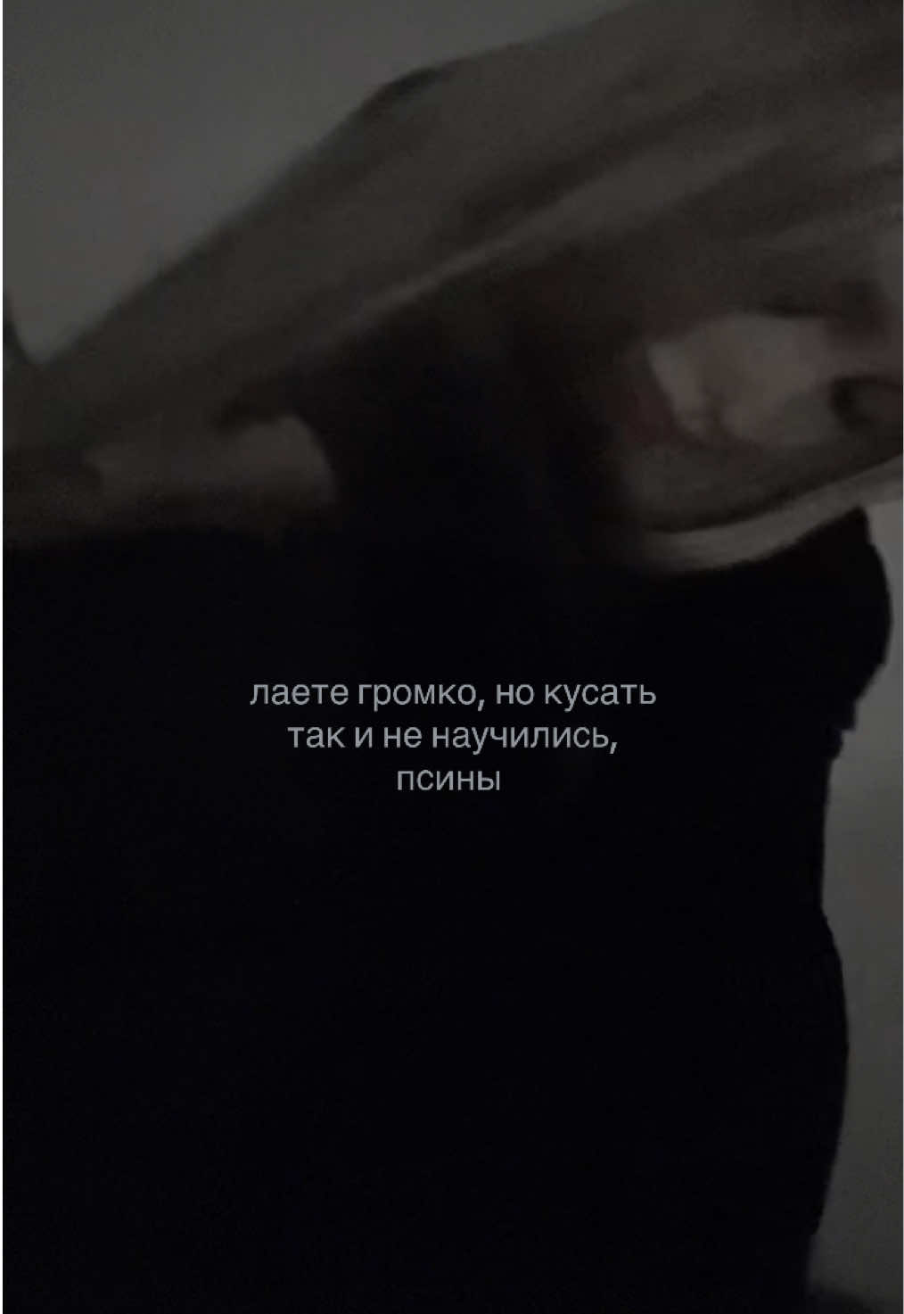 @dihofmis