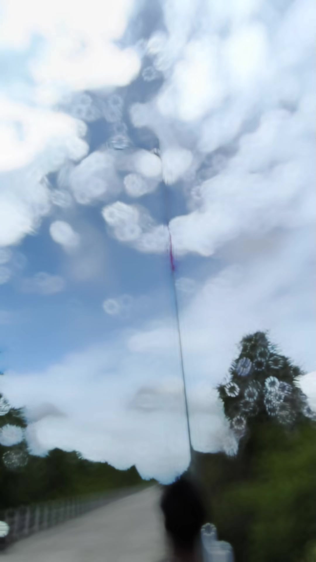 @༒︎🇷 🇴 🇭 🇮 🇹 🇺 ♡シ︎