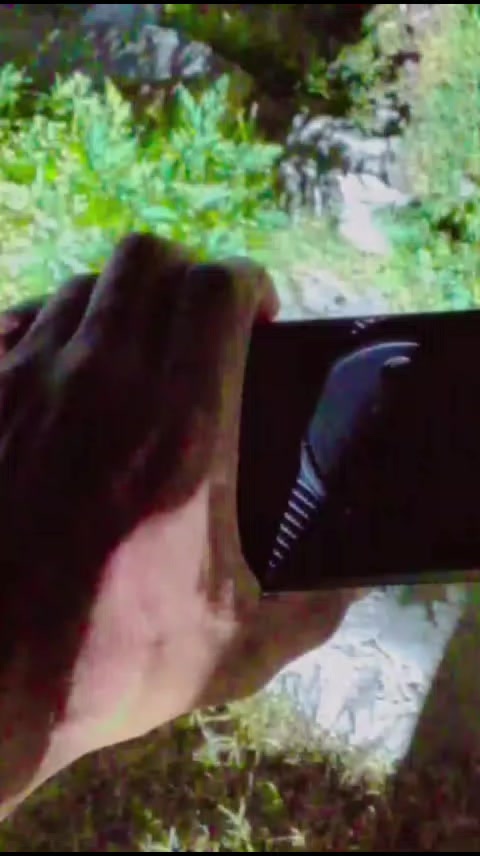 @✯.🐼🫀🐼.✯