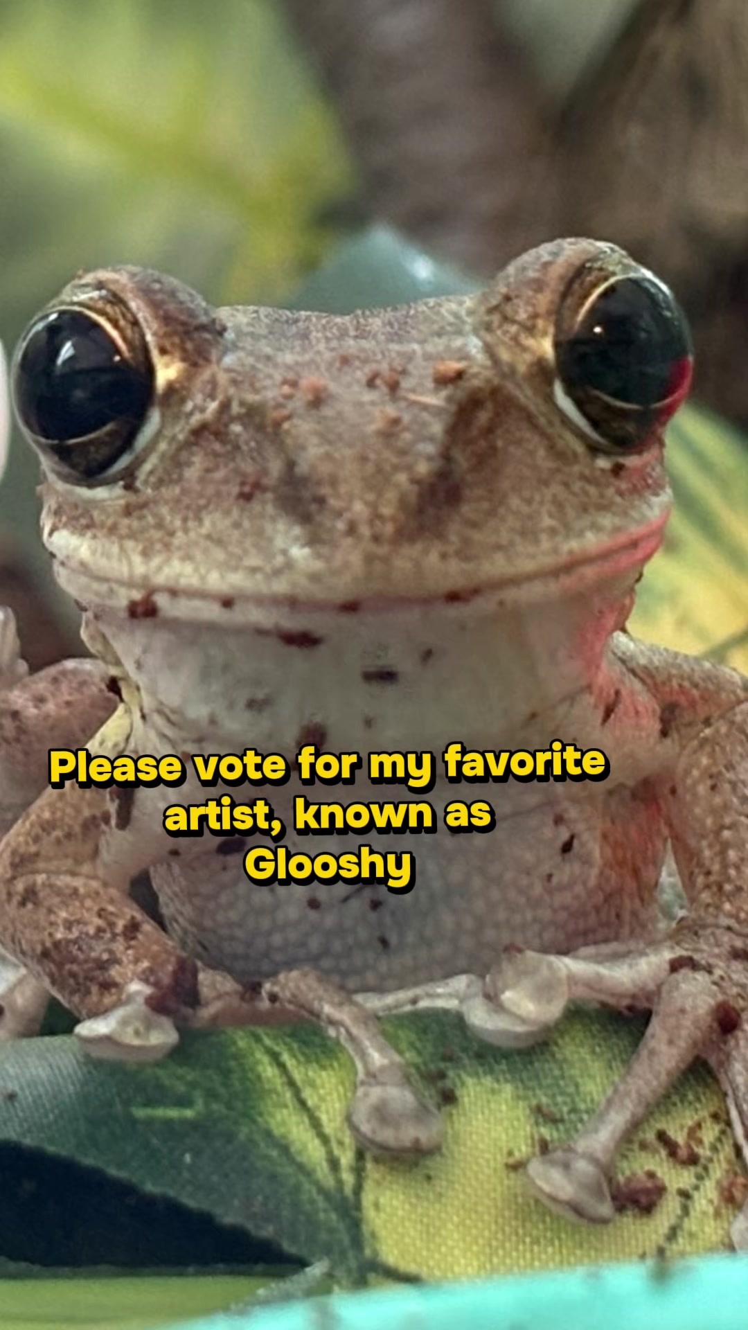 @originalSinkfrog