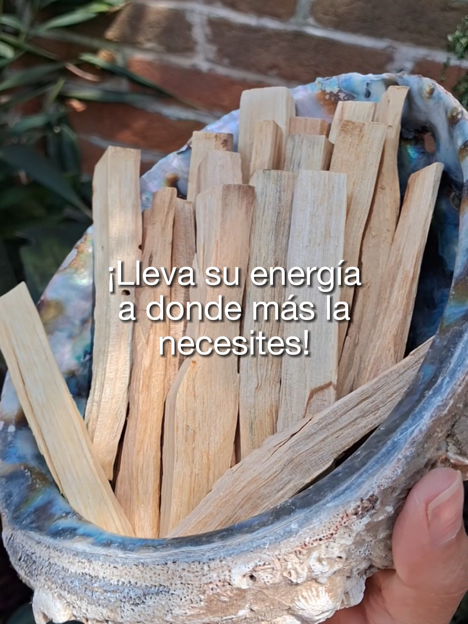 @Sentidos de la Vida