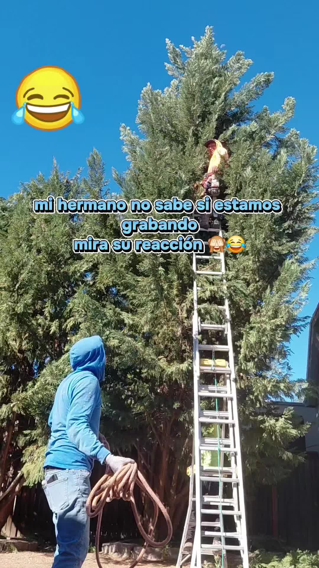 @✅️☠️𝐶𝒉𝐚𝐩𝑖𝐧𝟓𝟎𝟐👻💫