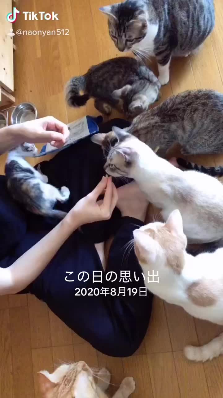 @♪♪ナォ♪♪