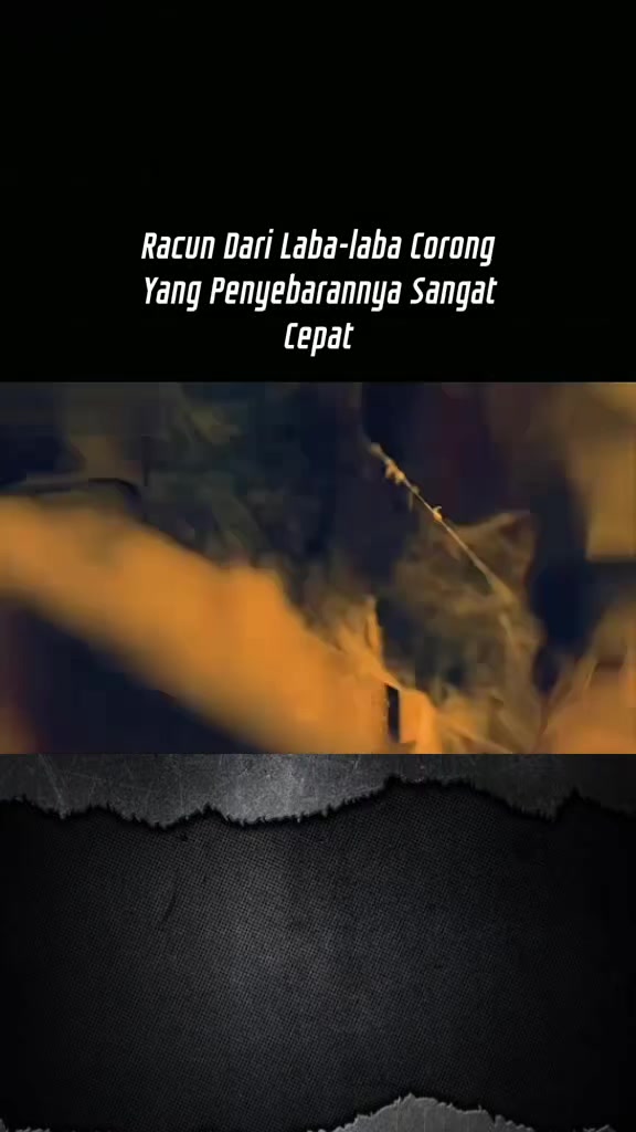 @Nonton+belanja